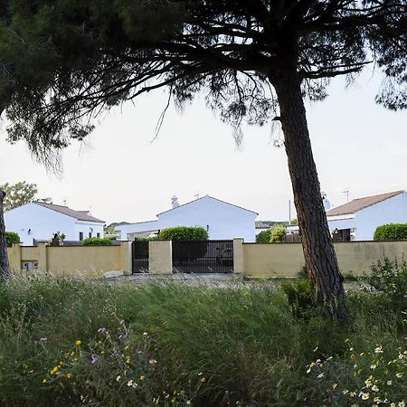 Villas Perez Zara Conil De La Frontera Exteriér fotografie